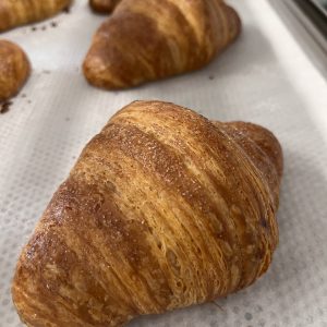 img 7403
